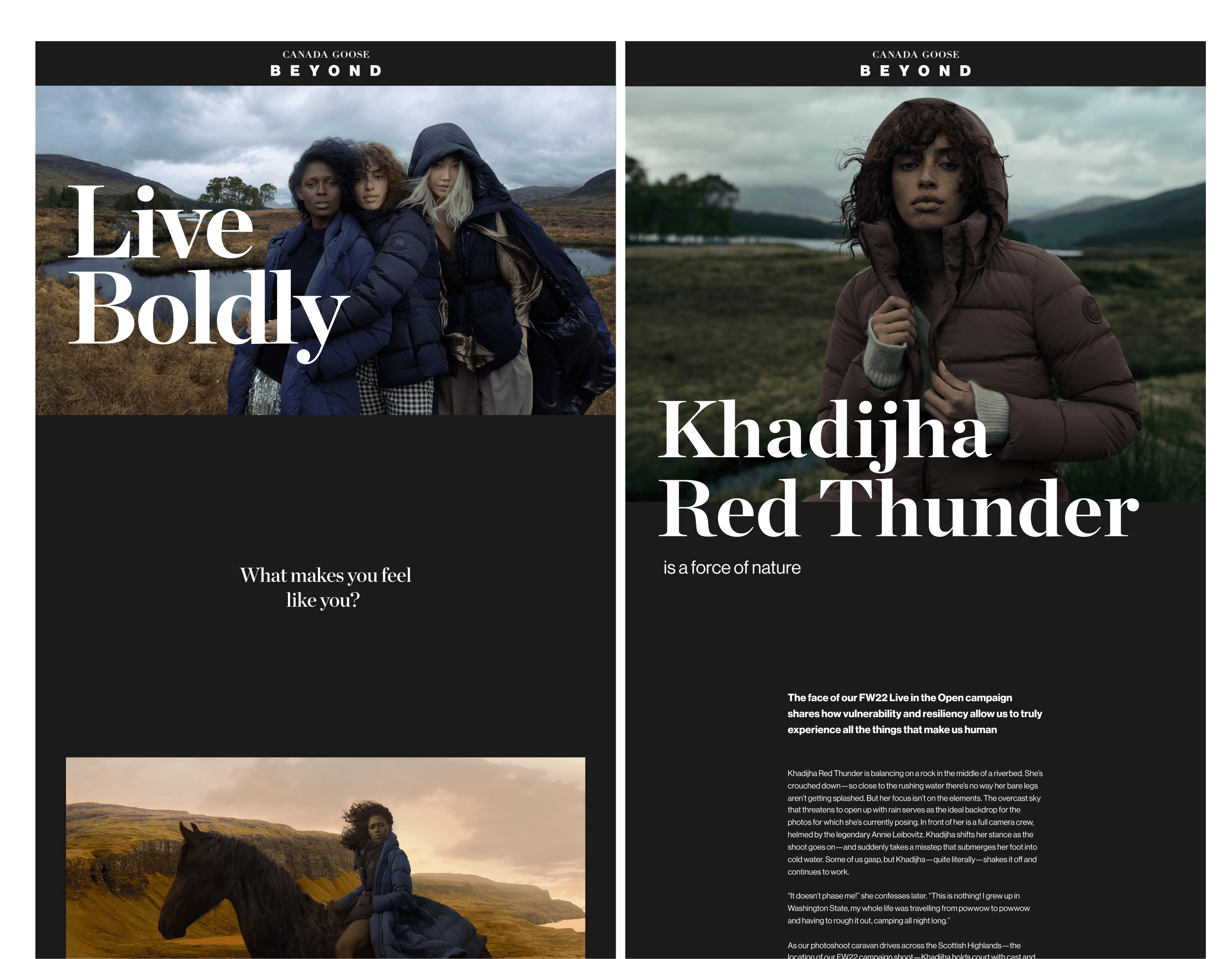 Canada Goose — layout 2